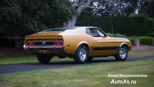 Ford Mustang Mach 1 (1969 - 1973) фото сзади