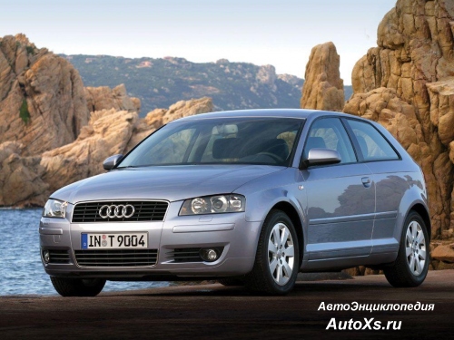 Audi A3 (2003 - 2005): фото спереди