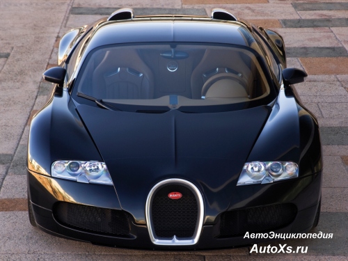 Bugatti Veyron (2005 - 2011): фото спереди