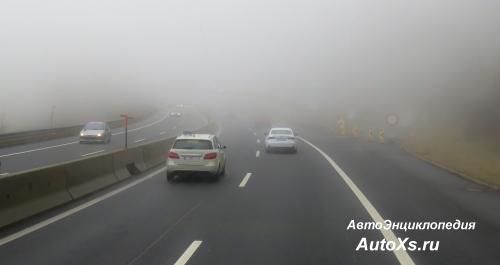 Как вести себя на дороге в тумане