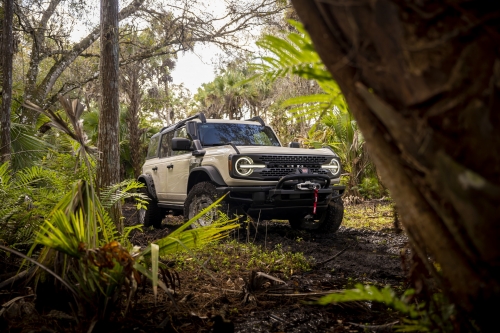 Ford Bronco Everglades (2022): на природе